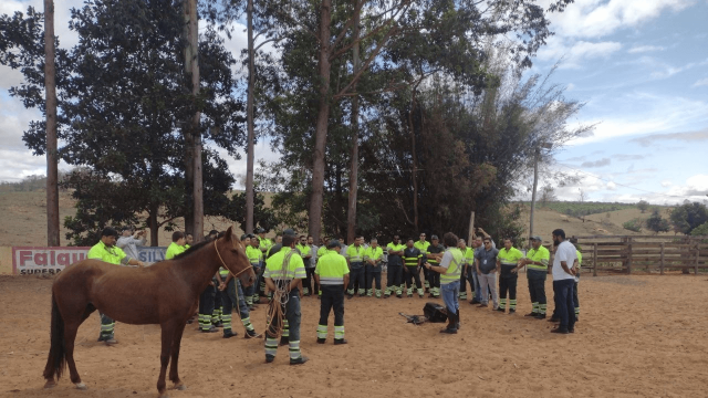 Eco101 realiza Treinamento de Captura de Animais de Grande Porte e Animais Silvestres