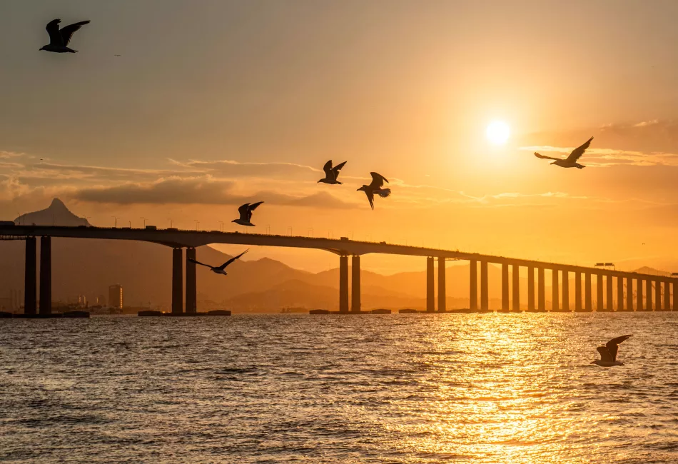 Ecoponte completa nove anos de concessão da Ponte Rio-Niterói