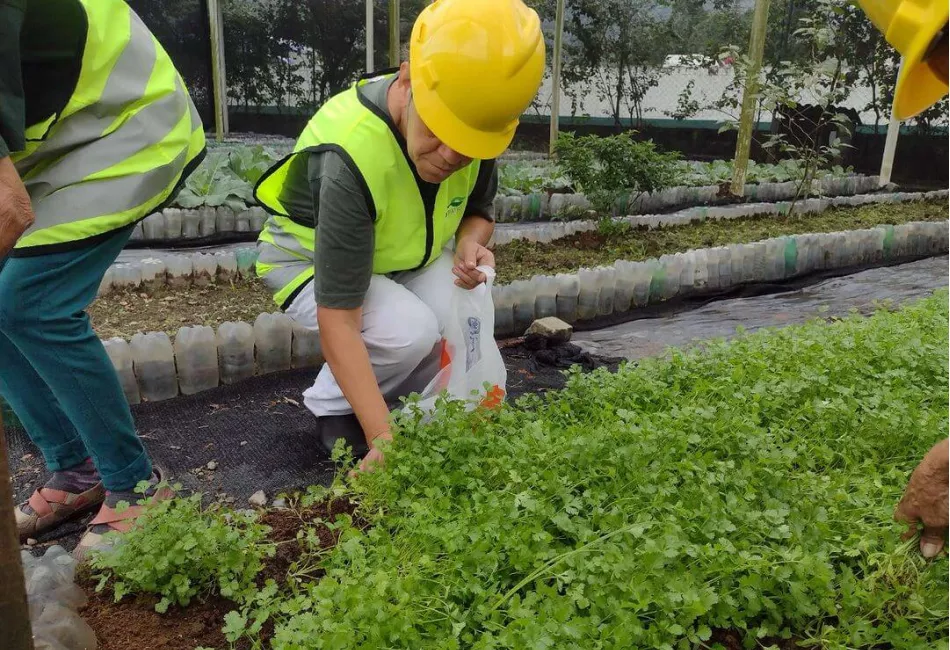 Sustentabilidade e responsabilidade social como cultura corporativa