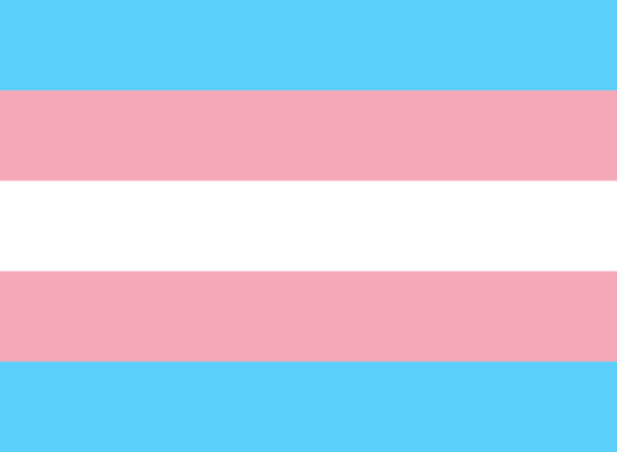 EcoRodovias oferece opção para retificar nome a colaboradores trans