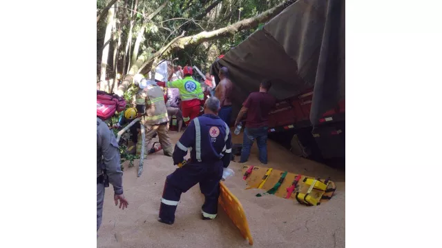 Divulgação Ecovias Sul