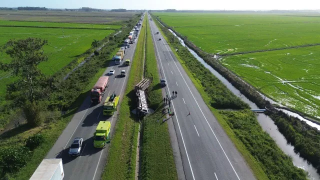 Divulgação Ecovias Sul