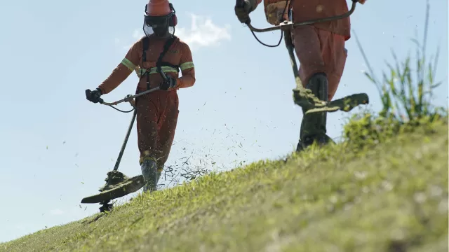 Divulgação Ecovias Sul